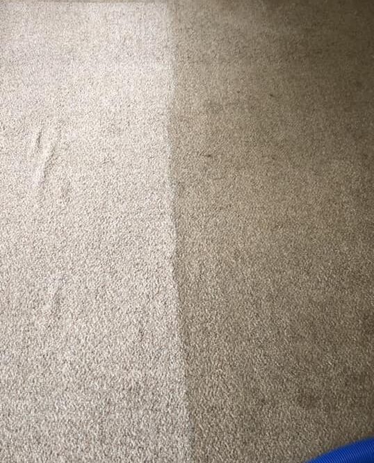 carpet4